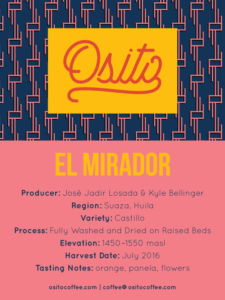 Packaging Design & Custom Patterns